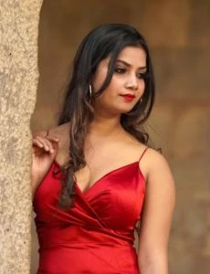 call girl service in Mehsi